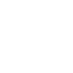 Widget Animation
